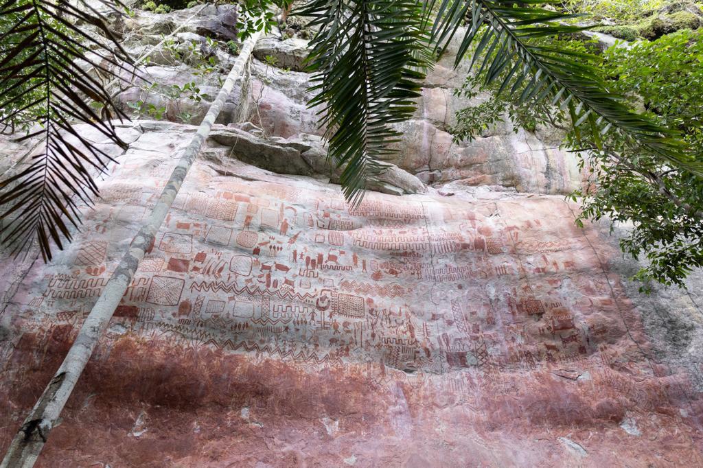 Durante encuentro de cancilleres en la selva del Guaviare, Reino Unido anuncia aporte de más de 13 millones de libras esterlinas para combatir la deforestación en la Amazonía Colombiana